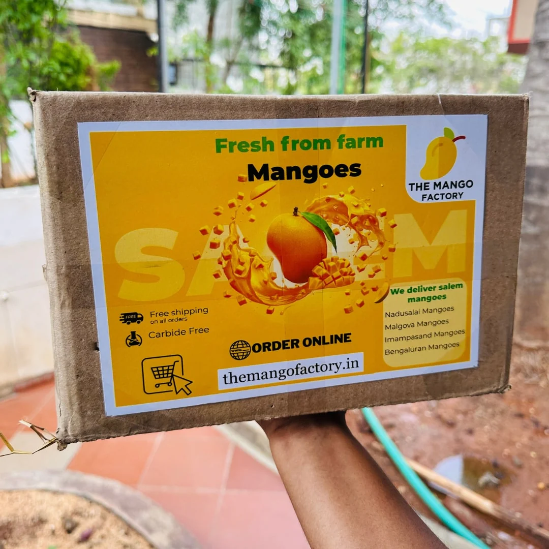 Salem Mangoes 3kg's - Image 10