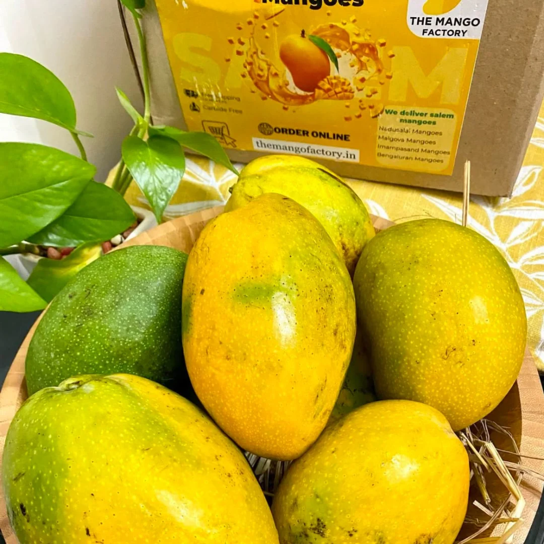 Salem Mangoes 3kg's - Image 3