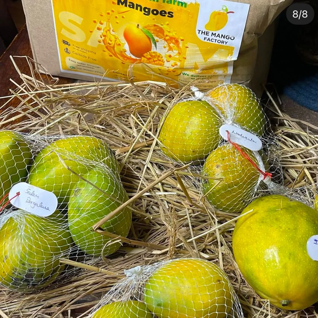 Salem Mangoes 3kg's - Image 4