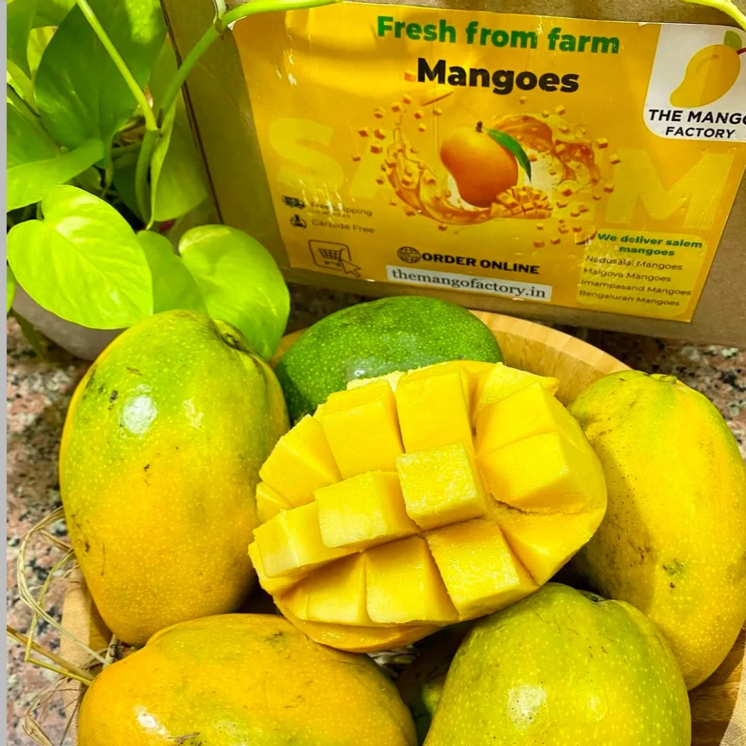 Salem Mangoes 3kg's - Image 6